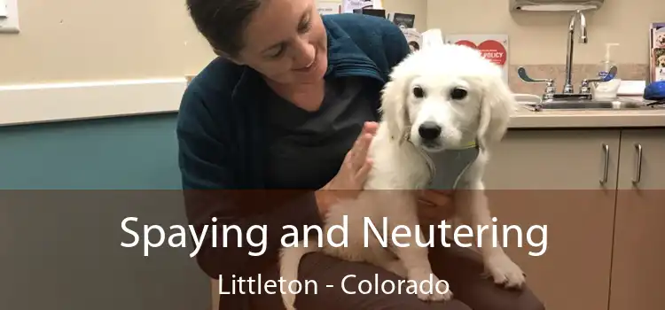 Spaying and Neutering Littleton - Colorado