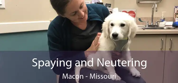 Spaying and Neutering Macon - Missouri