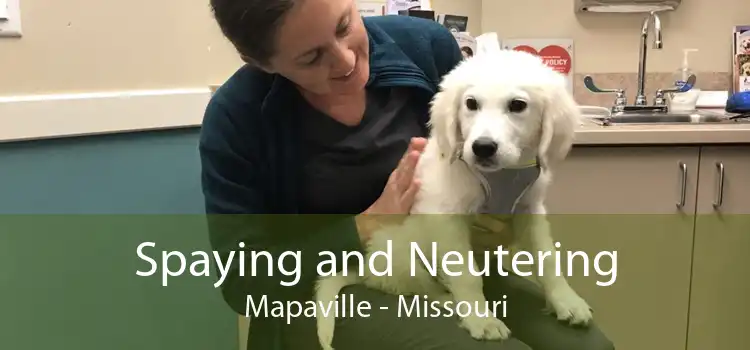 Spaying and Neutering Mapaville - Missouri