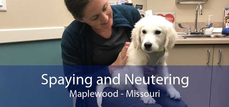 Spaying and Neutering Maplewood - Missouri
