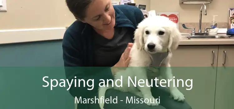Spaying and Neutering Marshfield - Missouri