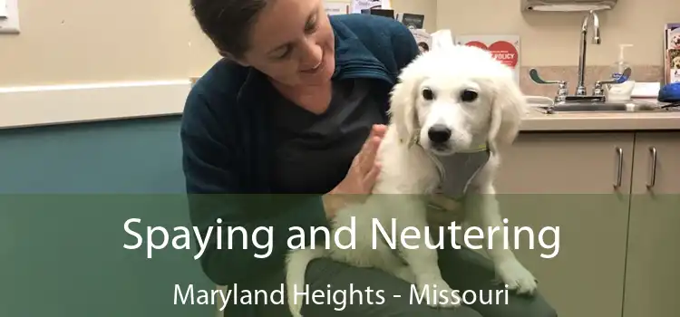 Spaying and Neutering Maryland Heights - Missouri