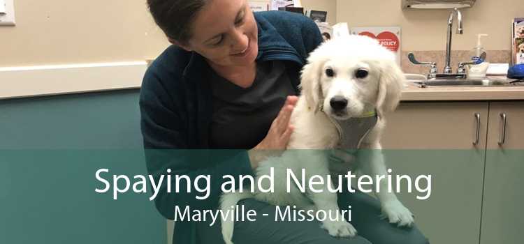 Spaying and Neutering Maryville - Missouri