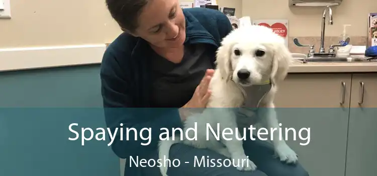 Spaying and Neutering Neosho - Missouri