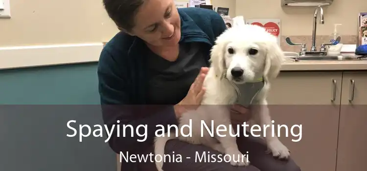 Spaying and Neutering Newtonia - Missouri