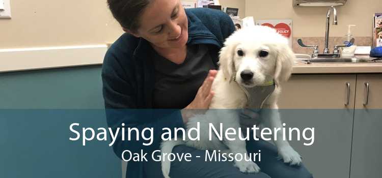 Spaying and Neutering Oak Grove - Missouri