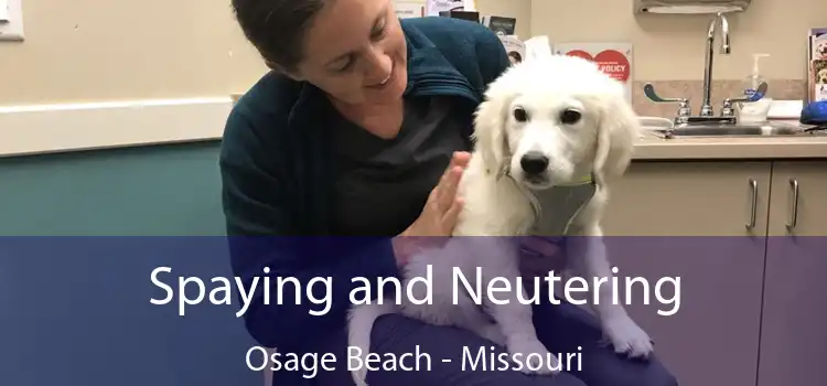 Spaying and Neutering Osage Beach - Missouri