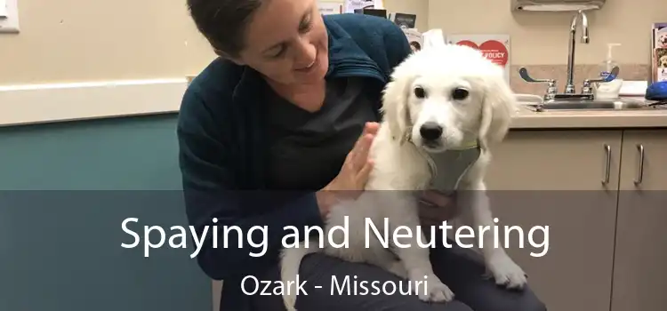 Spaying and Neutering Ozark - Missouri