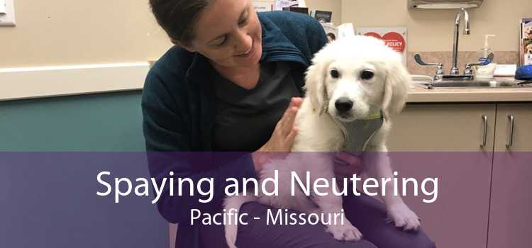 Spaying and Neutering Pacific - Missouri