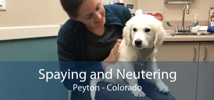 Spaying and Neutering Peyton - Colorado