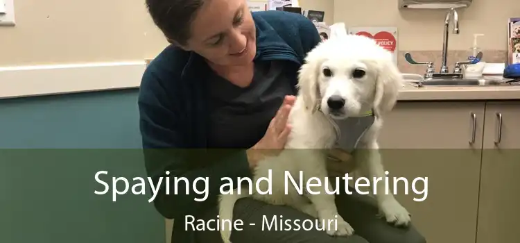 Spaying and Neutering Racine - Missouri