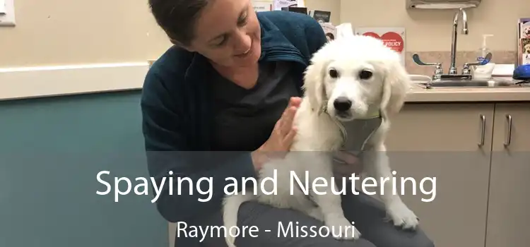 Spaying and Neutering Raymore - Missouri