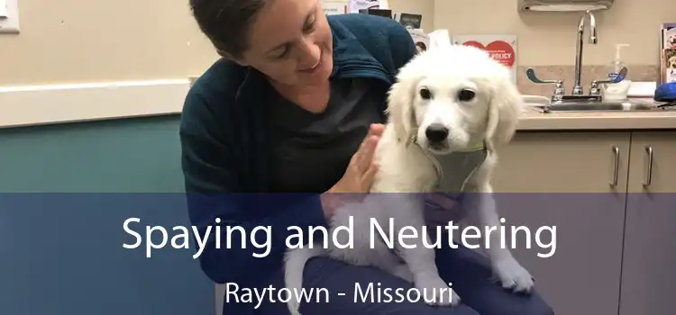 Spaying and Neutering Raytown - Missouri