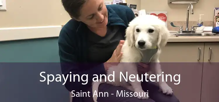 Spaying and Neutering Saint Ann - Missouri