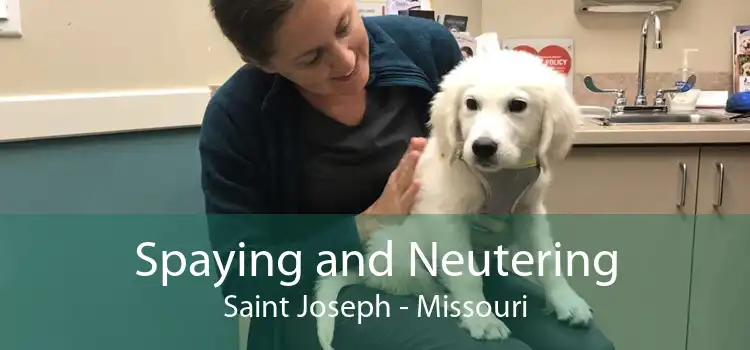 Spaying and Neutering Saint Joseph - Missouri