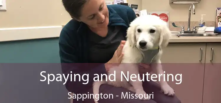 Spaying and Neutering Sappington - Missouri