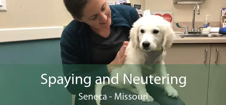Spaying and Neutering Seneca - Missouri