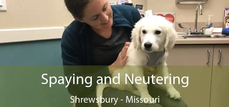 Spaying and Neutering Shrewsbury - Missouri