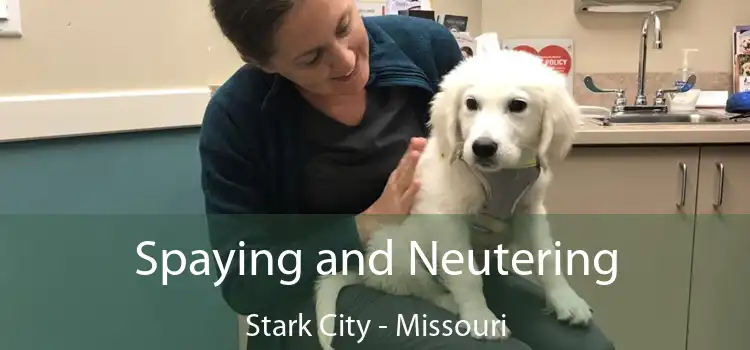 Spaying and Neutering Stark City - Missouri