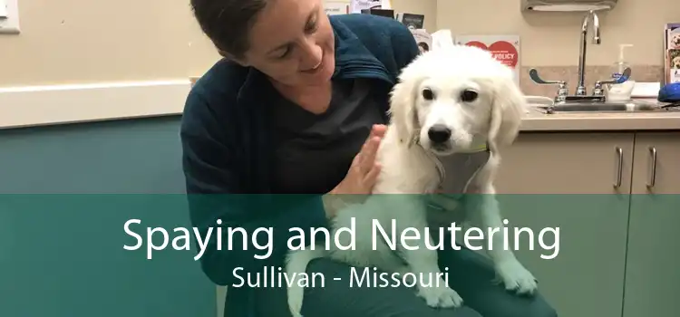 Spaying and Neutering Sullivan - Missouri