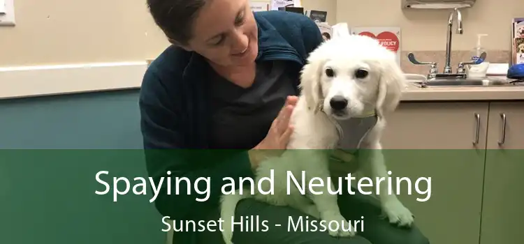 Spaying and Neutering Sunset Hills - Missouri