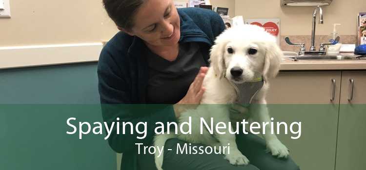 Spaying and Neutering Troy - Missouri
