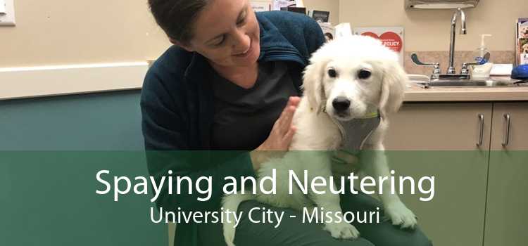 Spaying and Neutering University City - Missouri