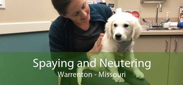 Spaying and Neutering Warrenton - Missouri