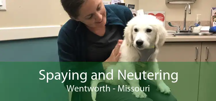 Spaying and Neutering Wentworth - Missouri