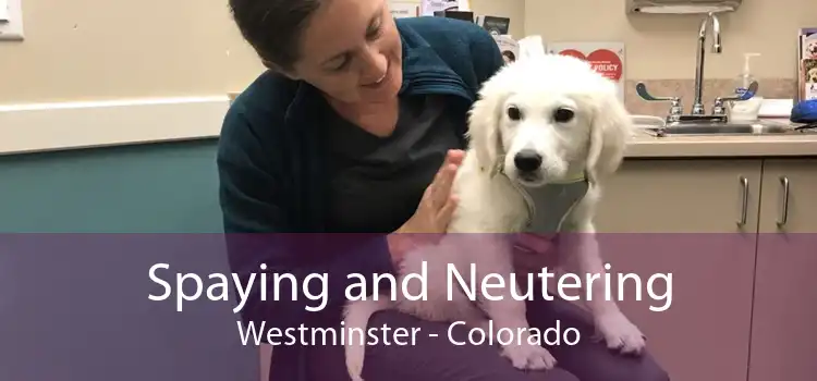 Spaying and Neutering Westminster - Colorado