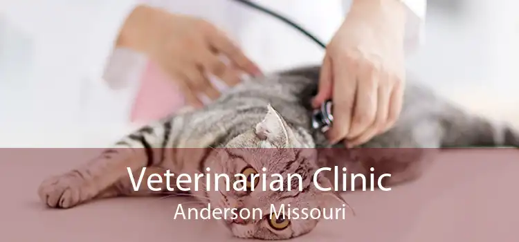 Veterinarian Clinic Anderson Missouri