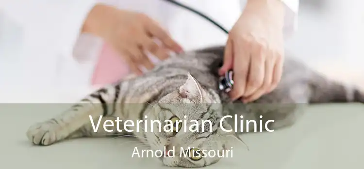Veterinarian Clinic Arnold Missouri