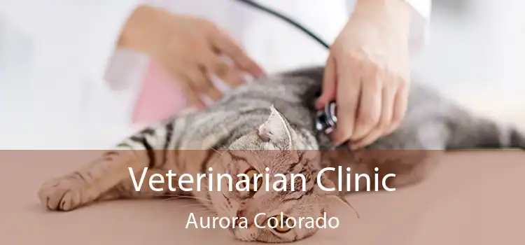 Veterinarian Clinic Aurora Colorado