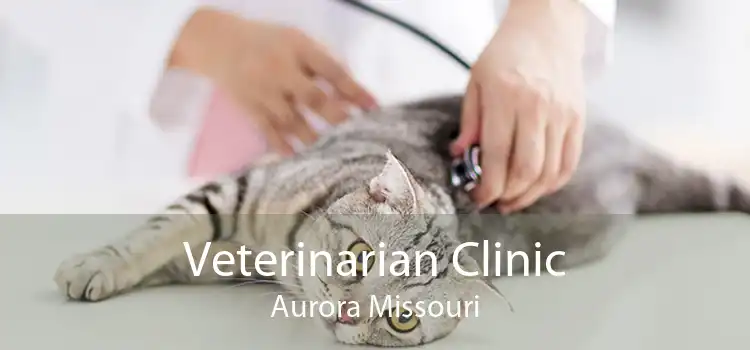 Veterinarian Clinic Aurora Missouri