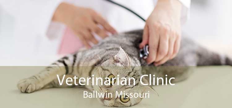 Veterinarian Clinic Ballwin Missouri