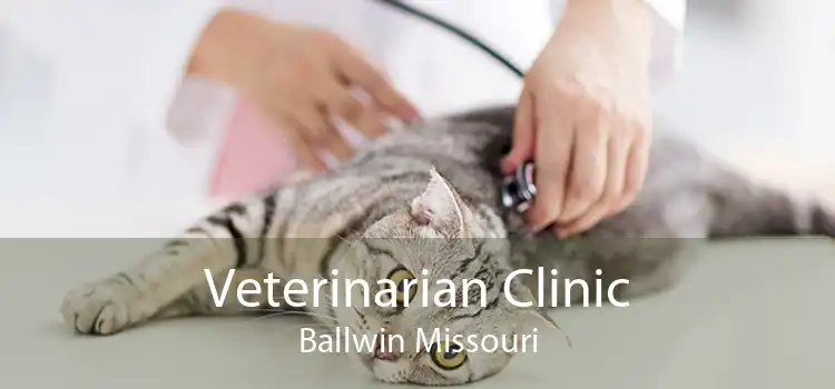 Veterinarian Clinic Ballwin Missouri