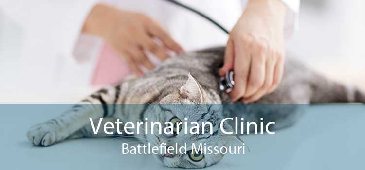 Veterinarian Clinic Battlefield Missouri
