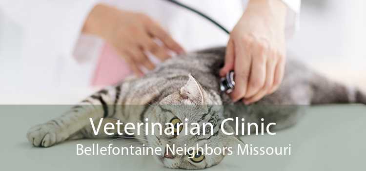 Veterinarian Clinic Bellefontaine Neighbors Missouri