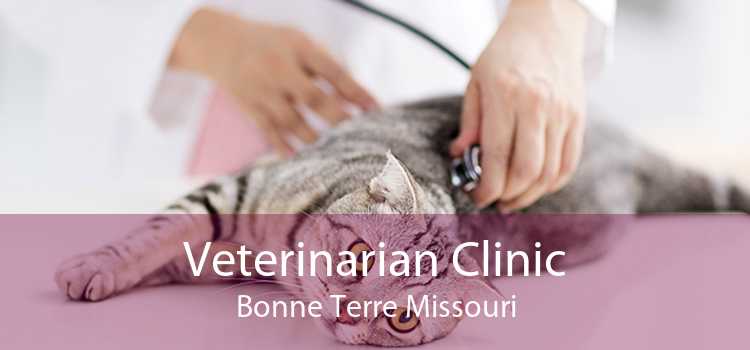 Veterinarian Clinic Bonne Terre Missouri