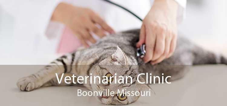 Veterinarian Clinic Boonville Missouri