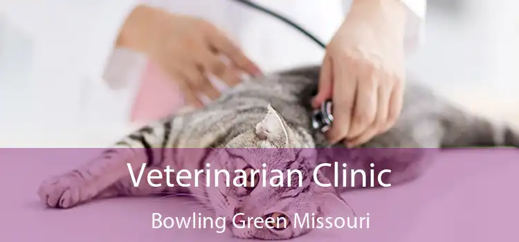 Veterinarian Clinic Bowling Green Missouri