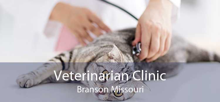 Veterinarian Clinic Branson Missouri