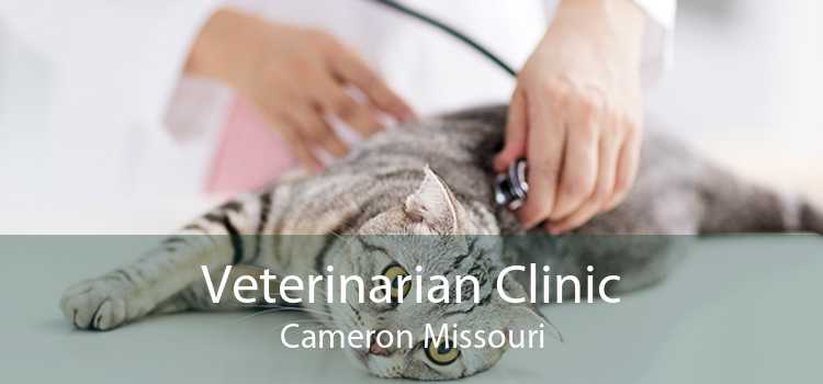 Veterinarian Clinic Cameron Missouri