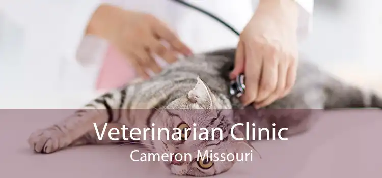 Veterinarian Clinic Cameron Missouri