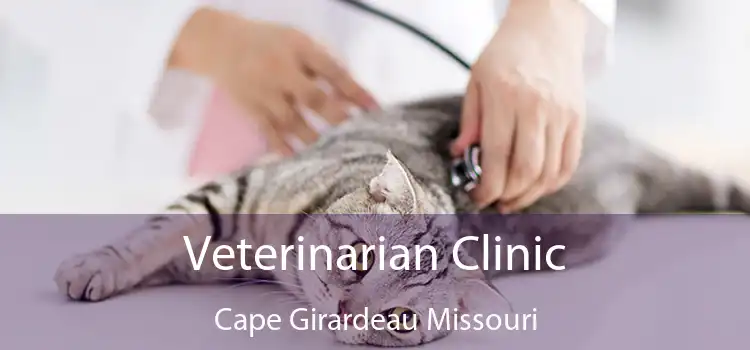 Veterinarian Clinic Cape Girardeau Missouri