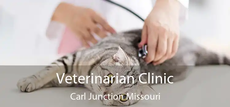 Veterinarian Clinic Carl Junction Missouri