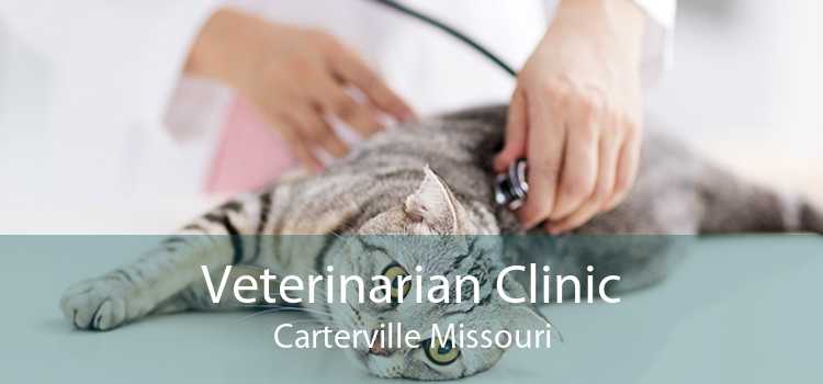 Veterinarian Clinic Carterville Missouri