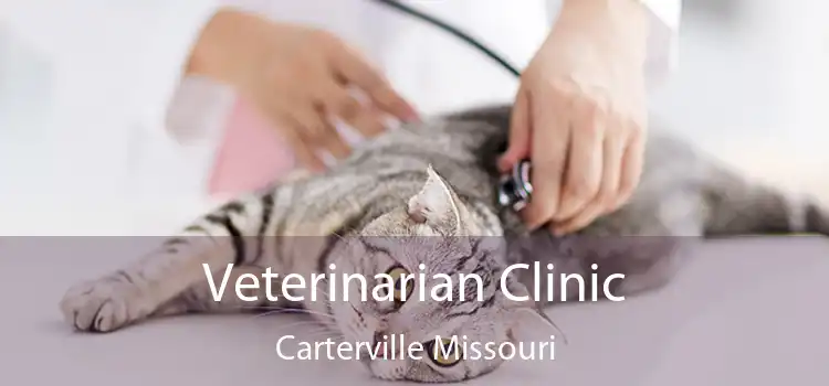 Veterinarian Clinic Carterville Missouri