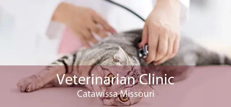 Veterinarian Clinic Catawissa Missouri