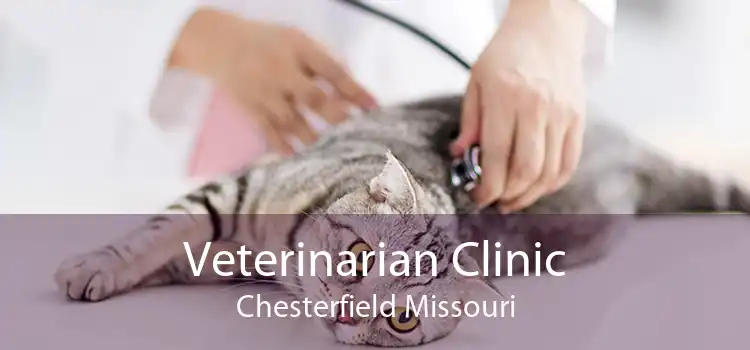 Veterinarian Clinic Chesterfield Missouri